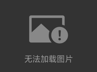 垃圾焚燒爐煙氣治理技術(shù)